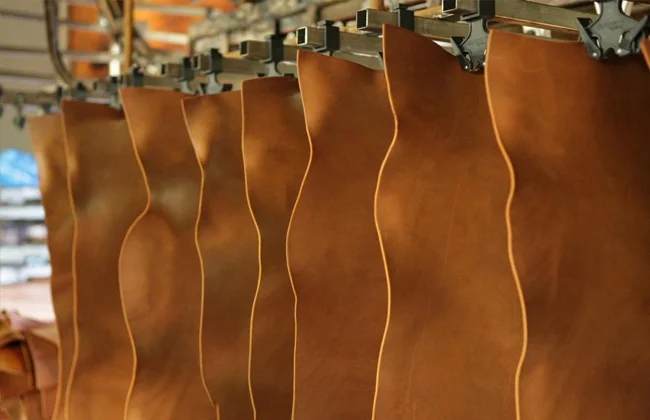 Animal skins - Image 3